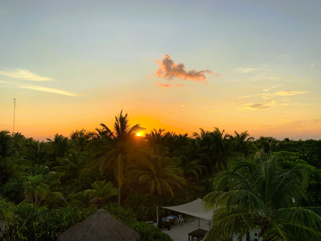 Coastal jungle at sunset around Casa Pronoia, 25 km north of Mahahual