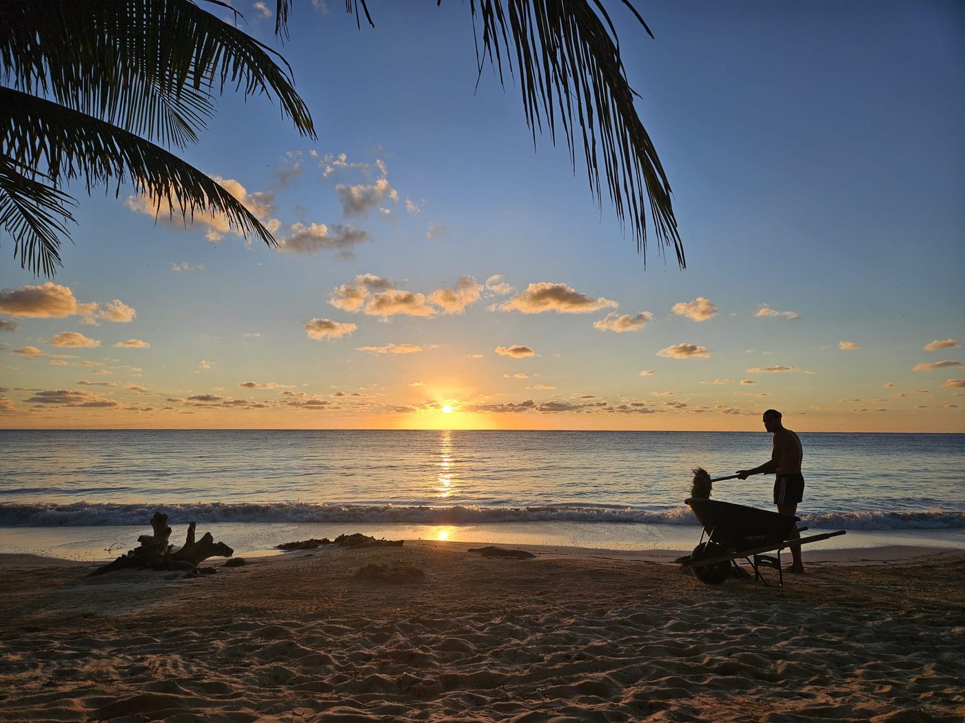 Clearing sargassum from the beach at sunrise at Pronoia, Costa Maya