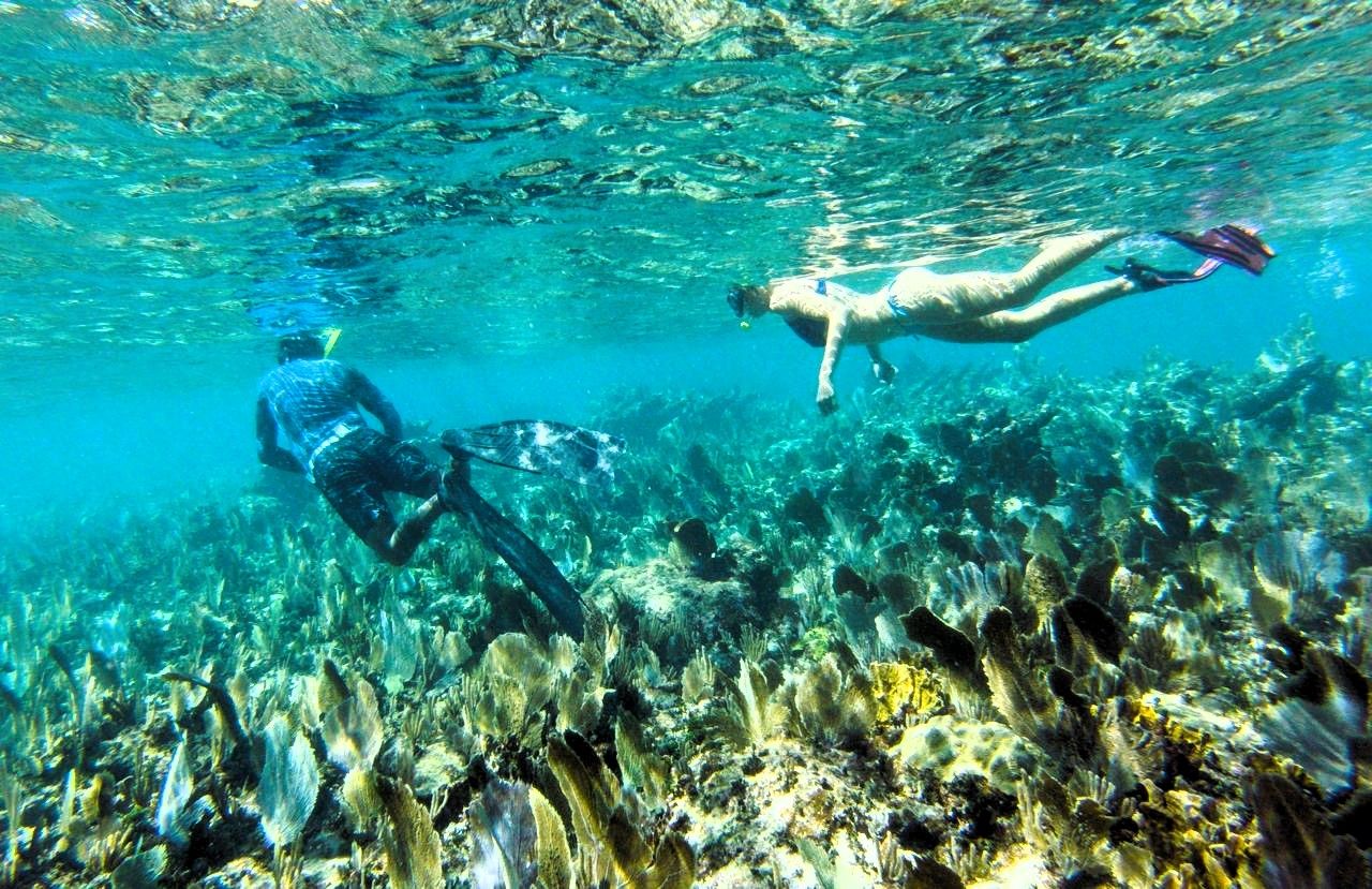Snorkelling the Mesoamerican Reef off the beach at Pronoia, Costa Maya