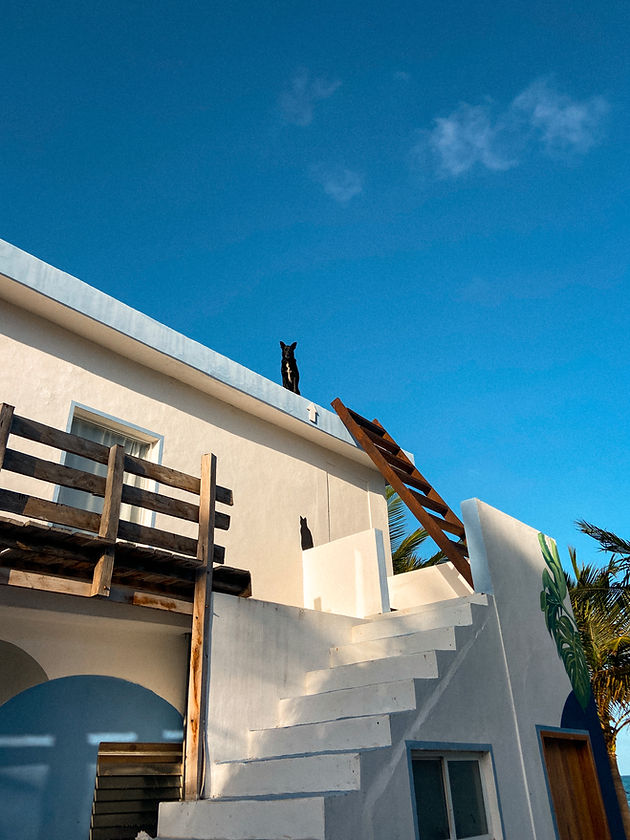 Rooftop at Casa Pronoia