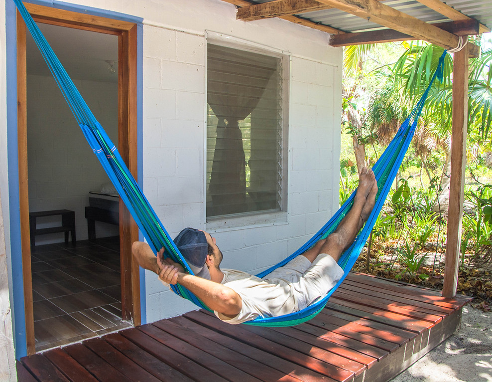 The Wind at Casa Pronoia